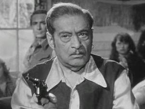 cast-image