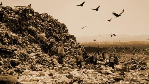 image_land