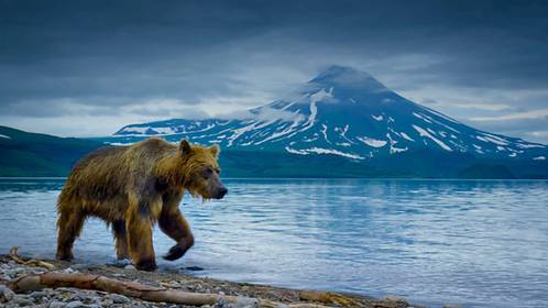 image_land