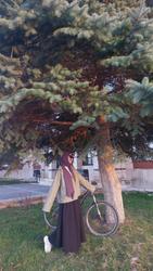 user profile picture