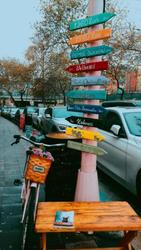 user profile picture