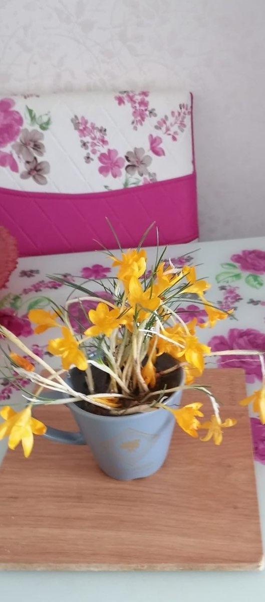 user profile picture