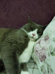 user profile picture