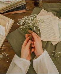 user profile picture