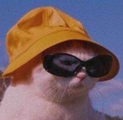 user profile picture