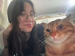 user profile picture