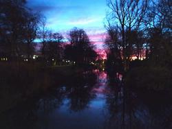 user profile picture