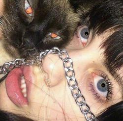 user profile picture