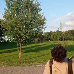 user profile picture