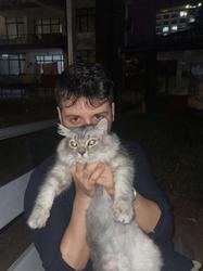 user profile picture