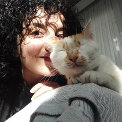 user profile picture