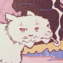 user profile picture