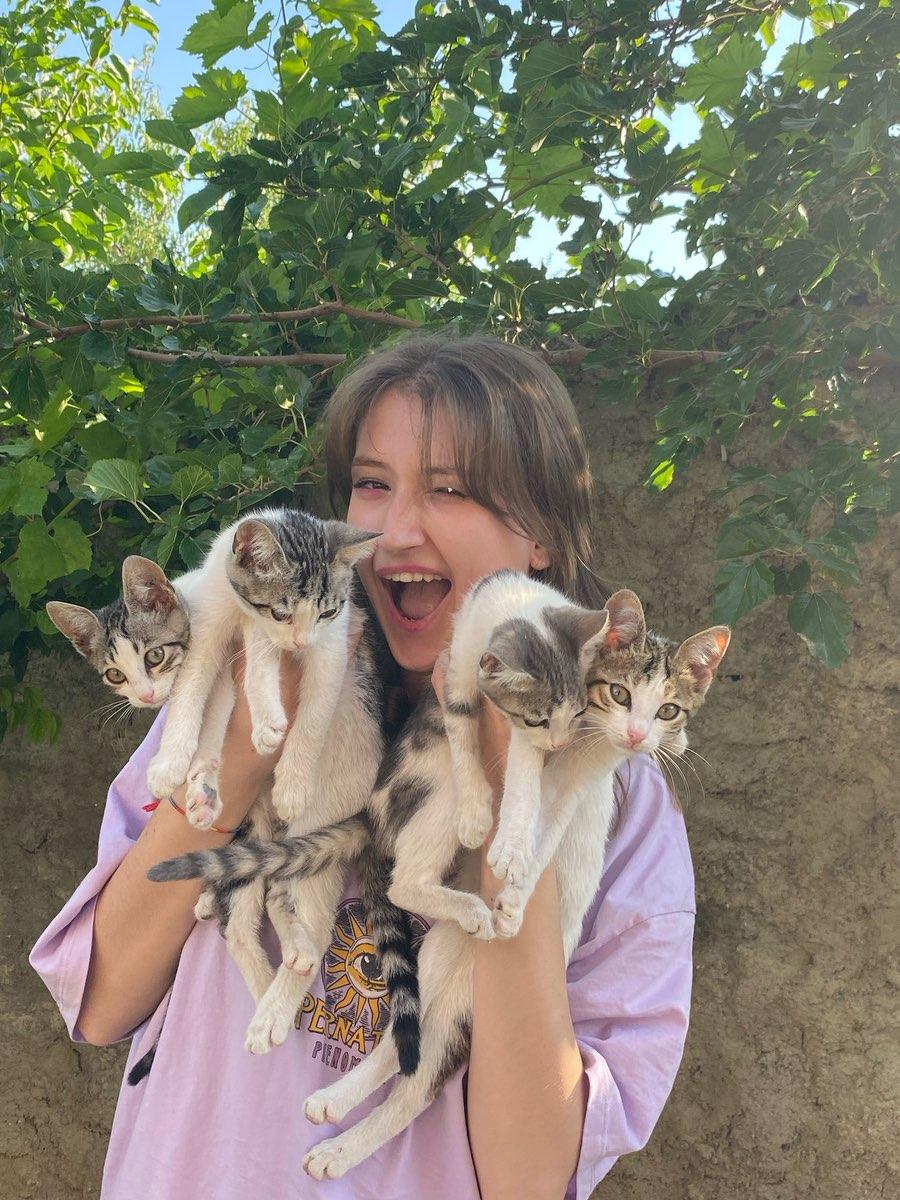 user profile picture