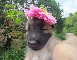 user profile picture