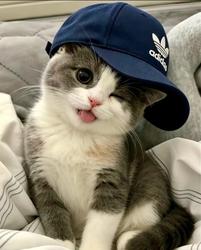 user profile picture