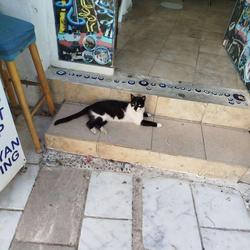 user profile picture