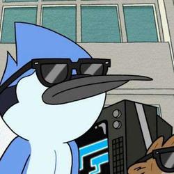 user profile picture