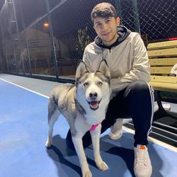 user profile picture