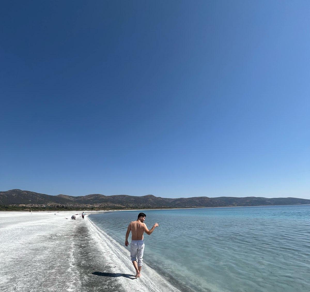 user profile picture