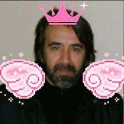 user profile picture