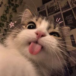 user profile picture