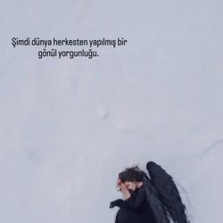 user profile picture