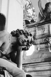 user profile picture