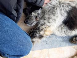 user profile picture