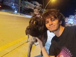 user profile picture