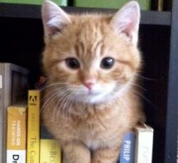 user profile picture