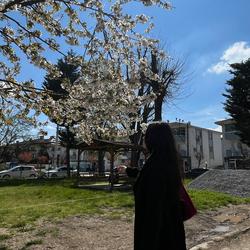 user profile picture