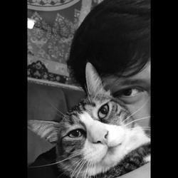 user profile picture