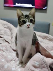 user profile picture