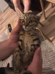 user profile picture