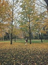 user profile picture