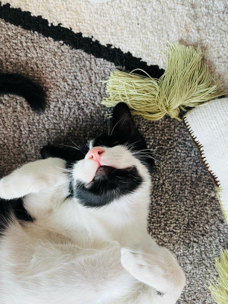 user profile picture