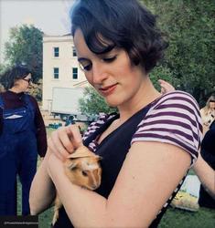 user profile picture