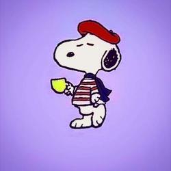 user profile picture