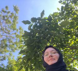 user profile picture
