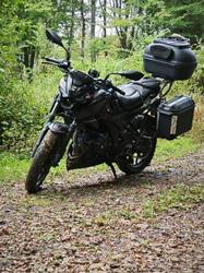 user profile picture