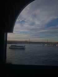 user profile picture