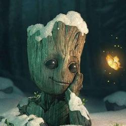 user profile picture