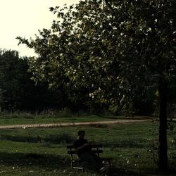 user-image-land