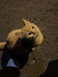 user profile picture