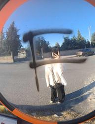 user profile picture