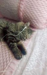 user profile picture