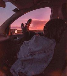 user profile picture