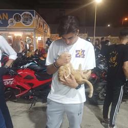 user profile picture