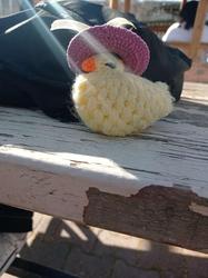 user profile picture