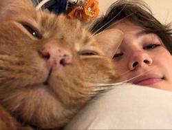 user profile picture